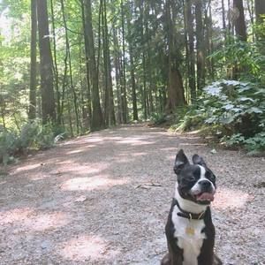 Meet your Posher, Charmaine